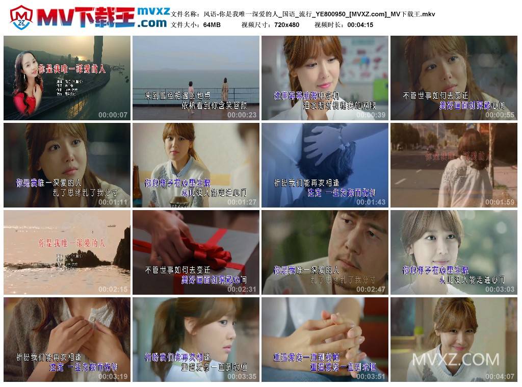 风语-你是我唯一深爱的人_国语_流行_YE800950